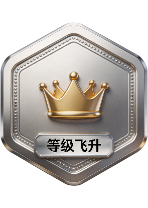 等级飞升